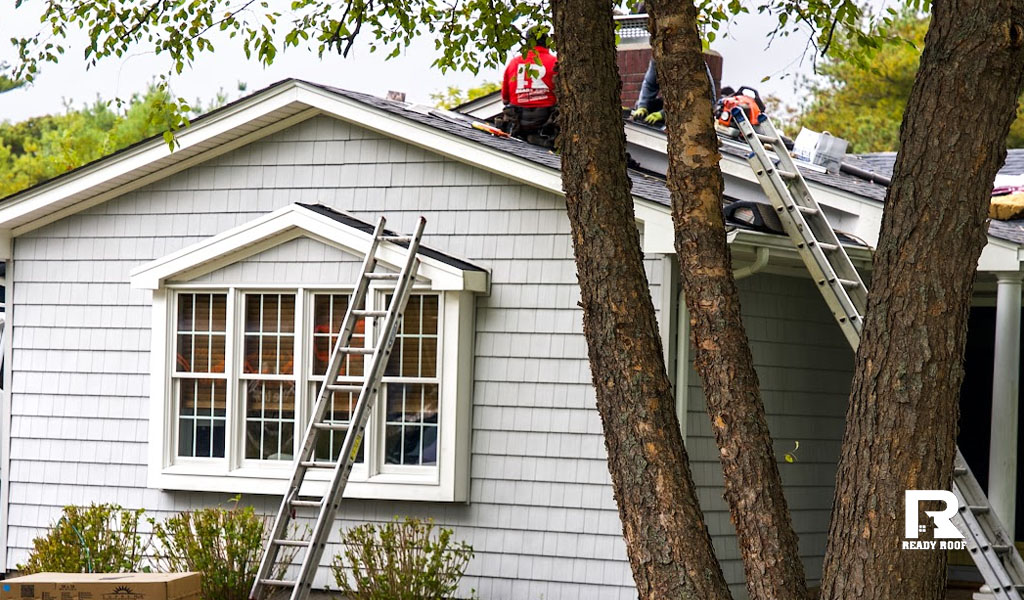 Workers use ladders to access a residential roof behind trees, perhaps discussing a TPO vs EPDM flat roof for additions.